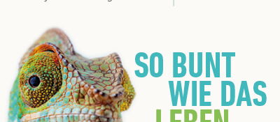 Logo GO.GRØØN - Messe für Nachhaltiges & Faires, Logo LN-E-Power, Kopf Chamäleon in die Kamera schauend und der Slogan der Messe 'So bunt wie das Leben'